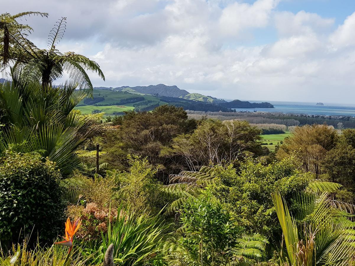 Woodyhanger Lodge Whitianga Exterior photo